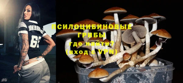 круглые Покачи