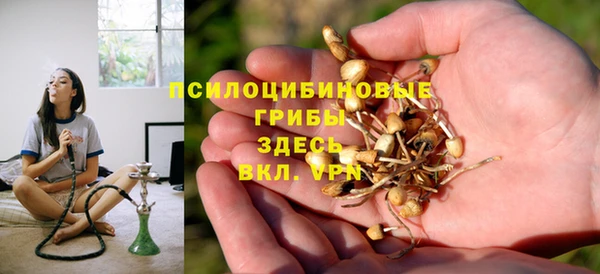 PSILOCYBIN Абаза