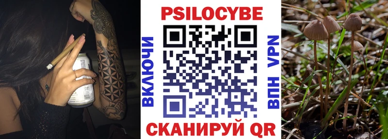 Галлюциногенные грибы GOLDEN TEACHER  как найти   Дальнереченск 